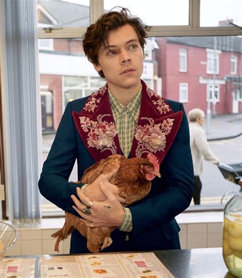 Harry Styles hangs in a chip shop (with a chicken) for new Gucci 